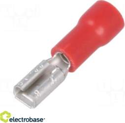 Electro Base Terminālis: plakans | 2