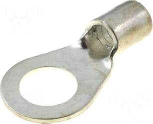 ERGOM Ring terminal | M10 |