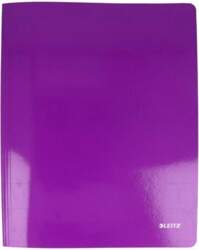 Leitz Document wallet | A4 |