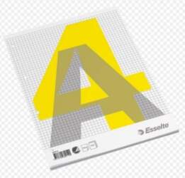Notebook, removable pages, Esselte, A4/100, Squared