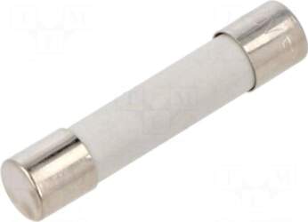SCHURTER Fuse: fuse | ceramic,cylindrical