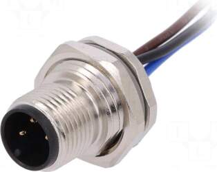 TE Connectivity Socket | M12 |