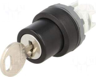 ABB Switch: rotary with key |