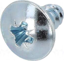 BOSSARD Screw | for plastic |
