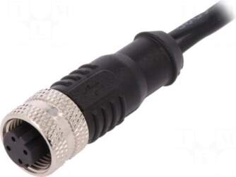 BULGIN Plug | M12 | PIN: