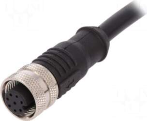 BULGIN Plug | M12 | PIN:
