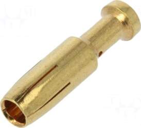 DEGSON ELECTRONICS Contact | female |