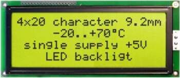 DISPLAY VISIONS Display: LCD | alphanumeric