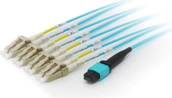 Equip MTP/MTP Trunk Fiber Optic Patch