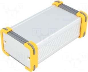 FISCHER ELEKTRONIK Enclosure: with panel |