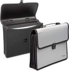 Folder-portfolio Forpus, A4, silver, 3 compartments