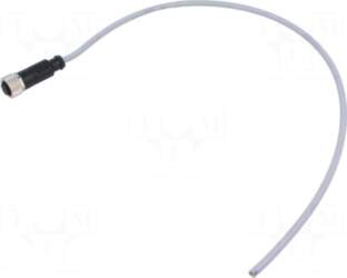 HARTING Connector: M12 | plug |