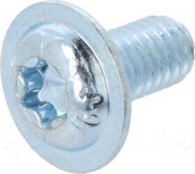 RITTAL Screw | 300pcs.