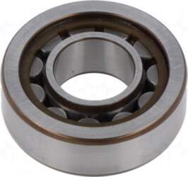 SKF Bearing: rolling | cylindrical roller