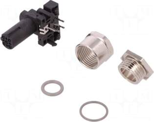 TE Connectivity Socket | M12 |