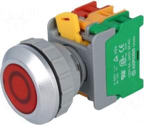 AUSPICIOUS Switch: push-button | 30mm |