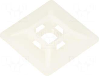 BM GROUP Holder | screw |
