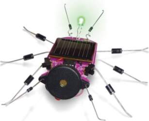China SOLAR BUG