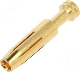 DEGSON ELECTRONICS Contact | female |