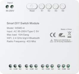 DIY Avatto WSMD-4 250V smart switch