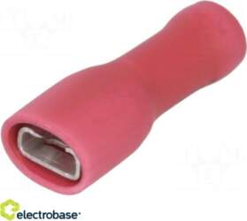 Electro Base Terminālis: plakans | 4