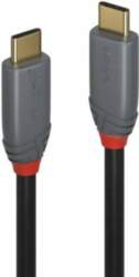 LINDY USB 3.2 kabelis Type