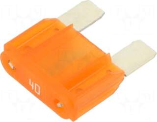 LITTELFUSE Fuse: fuse | automotive |