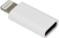 Sbox AD.IPH-TYPEC/R Adapter IPH/8 M