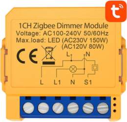 Smart socket switch ZigBee Avatto ZDMS16-2