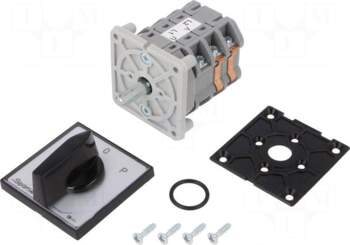 SPAMEL Switch: reversing cam switch |
