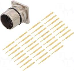 AMPHENOL Connector: M23 | socket |