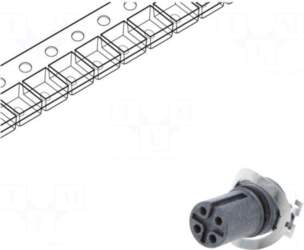 AMPHENOL LTW Socket | M12 |