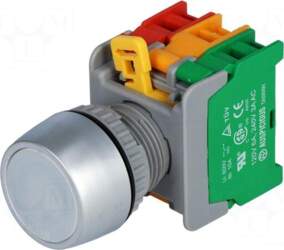 AUSPICIOUS Switch: push-button | 22mm |