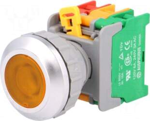 AUSPICIOUS Switch: push-button | 30mm |