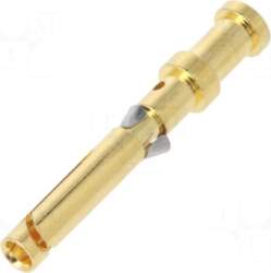 DEGSON ELECTRONICS Contact | female |