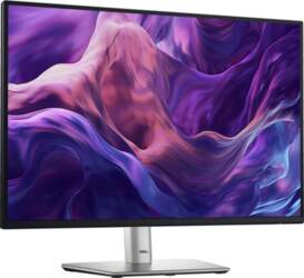Dell P2425E, LED monitor - 24