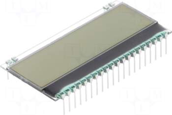 DISPLAY VISIONS Display: LCD | graphical