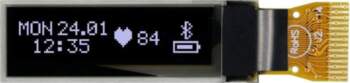 DISPLAY VISIONS Display: OLED | graphical