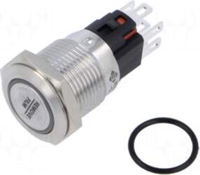 E-SWITCH Switch: vandal resistant | Pos: