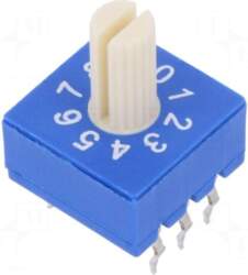 ECE Encoding switch | DEC/BCD |
