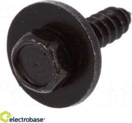 Electro Base Skrūve | 10 gab
