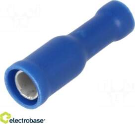 Electro Base Terminālis: apaļš | Female
