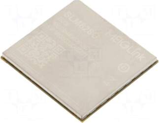 MEIG SMART TECHNOLOGY Module: LTE |