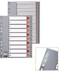 Divider Esselte PP, A4, Jan.-Dec