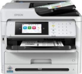 Epson WorkForce Pro WF-M5899DWF printeris Tintes
