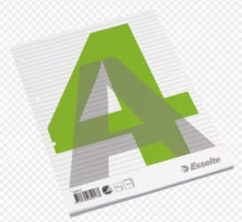 Notebook, removable lappuses, Esselte, A4/100, lined