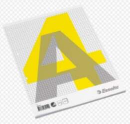 Notebook, removable lappuses, Esselte, A4/100, Squared