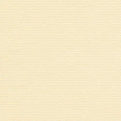 Conqueror Laid Conqueror Laid, 100g, A4