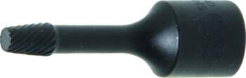 Special Socket / Screw Extractor |