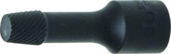 Special Socket / Screw Extractor |